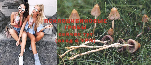 прущие крисы Кукмор